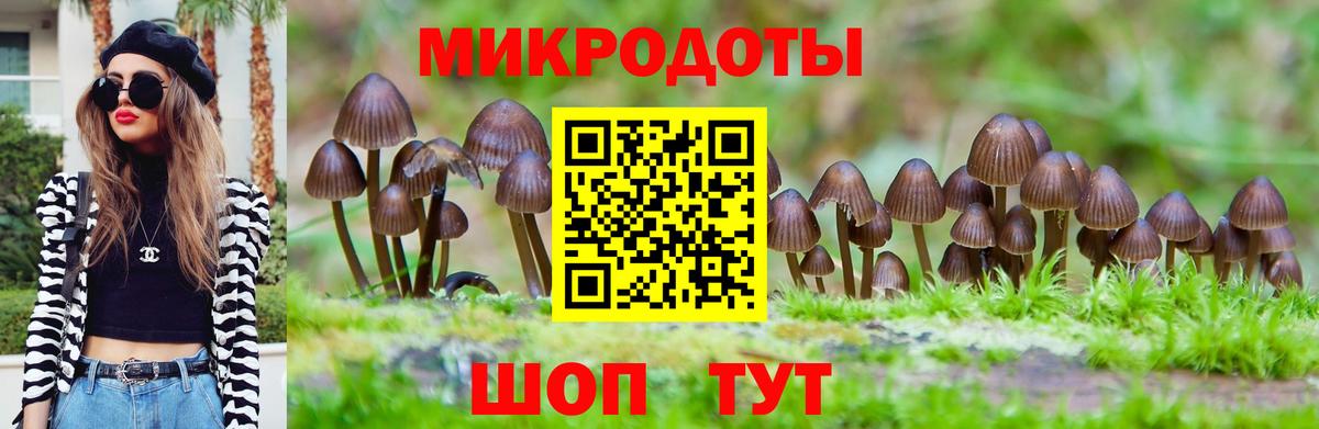 Амурск  Галлюциногенные грибы ЛСД  даркнет сайт  Вход с VPN  Галлюциногенные грибы прущие грибы 